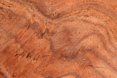 Block Walnut Burl 87x70x62mm - NusBM1275