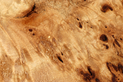 Klotz Pappel Maser 205x205x65mm - PapM0334