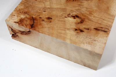 Klotz Pappel Maser 205x205x65mm - PapM0334