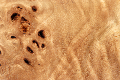 Block Poplar Burl 240x240x65mm  - PapM0325