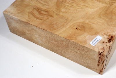 Block Poplar Burl 240x240x65mm  - PapM0325