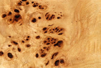 Block Poplar Burl 250x245x65mm  - PapM0327