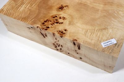 Klotz Pappel Maser 260x260x65mm - PapM0322