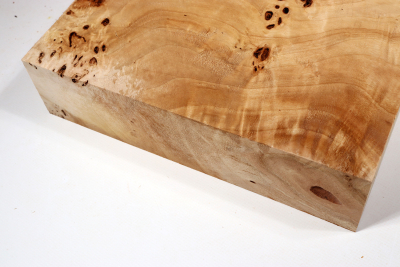 Klotz Pappel Maser 260x260x65mm - PapM0322