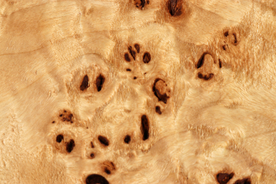 Block Poplar Burl 260x260x65mm  - PapM0324