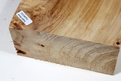 Klotz Pappel Maser 290x135x65mm - PapM0330