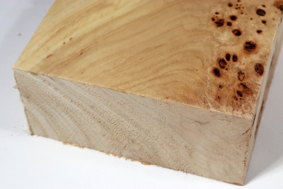 Klotz Pappel Maser 290x135x65mm - PapM0330