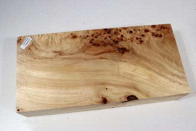 Klotz Pappel Maser 290x135x65mm - PapM0330