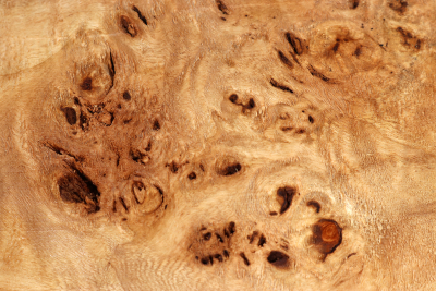 Block Poplar Burl 335x250x60mm  - PapM0315