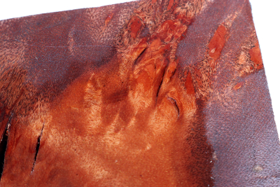 Block Red Resin Burl 110x72x57mm - RedRe0301