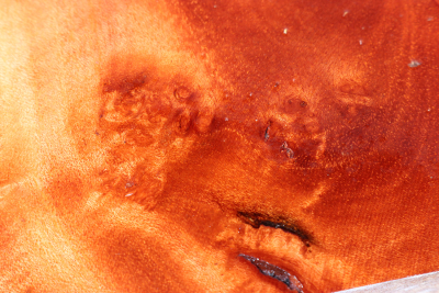 Block Red Resin Burl 113x74x58mm - RedRe0300