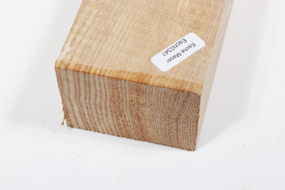 Klotz Riegelesche 235x65x50mm - Esch0347