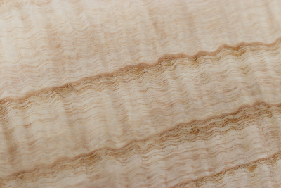 Klotz Riegelesche 260x125x50mm - Esch0316