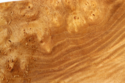 Block Japanese Pagoda Tree Burl 150x100x52mm - Schnu0280