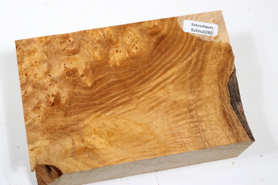 Block Japanese Pagoda Tree Burl 150x100x52mm - Schnu0280