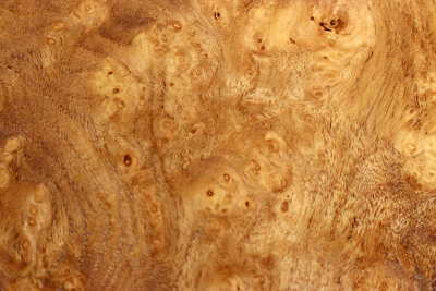 Block Japanese Pagoda Tree Burl 160x145x50mm - Schnu0279