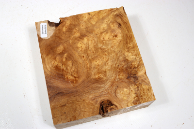 Block Japanese Pagoda Tree Burl 160x145x50mm - Schnu0279