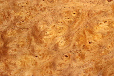 Block Japanese Pagoda Tree Burl 180x145x67mm - Schnu0283