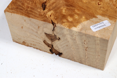 Block Japanese Pagoda Tree Burl 180x145x67mm - Schnu0283