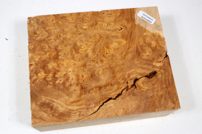 Block Japanese Pagoda Tree Burl 180x145x67mm - Schnu0283