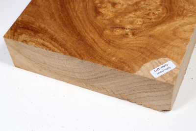 Block Japanese Pagoda Tree Burl 200x200x50mm - Schnu0277