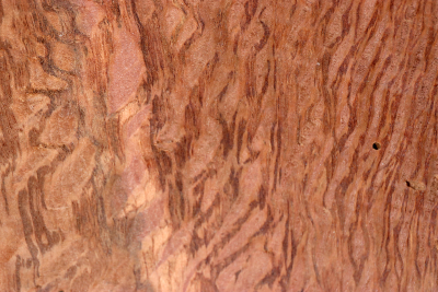 Klotz Steineiche 150x150x60mm - SteiEi0430