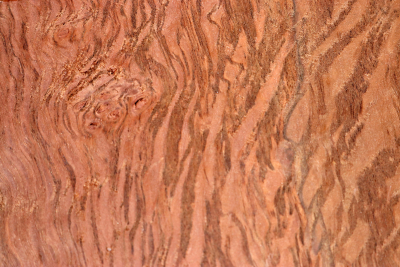 Block Holm Oak 150x150x60mm - SteiEi0433
