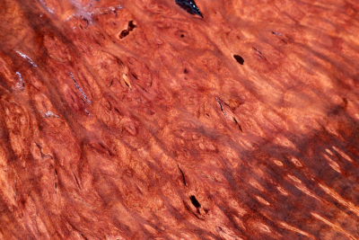 Klotz Vavona Maser 270x145x40mm - VavoM0421