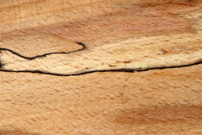 Block Beech spalted 215x150x60mm - GestBu0639