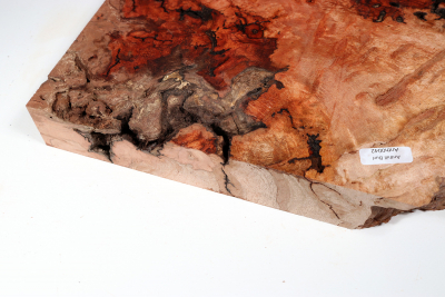 Burl Slab Anthill Burl 330x270x35mm- Anth0042