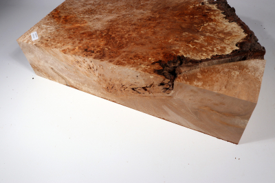 Burl Slab Anthill Burl 360x210x85mm- Anth0032