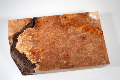 Burl Slab Anthill Burl 360x210x85mm- Anth0032