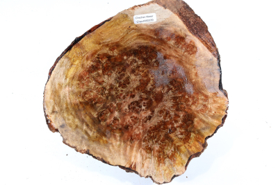 Burl Cap Chechen Burl 200x200x90mm - ChechM0339