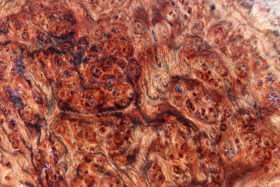 Burl Cap Chechen Burl 220x220x80mm - ChechM0330