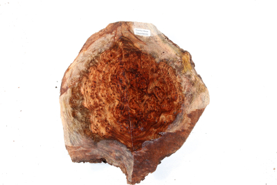 Burl Cap Chechen Burl 220x220x80mm - ChechM0330