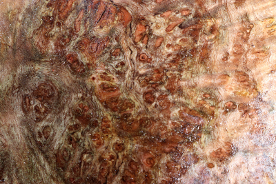 Burl Cap Chechen Burl 240x200x90mm - ChechM0335