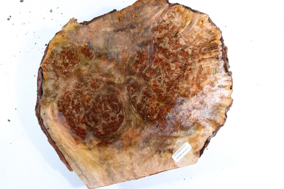 Burl Cap Chechen Burl 240x200x90mm - ChechM0335