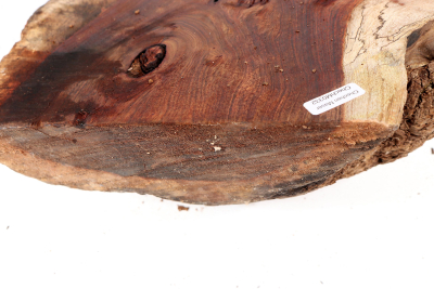 Burl Cap Chechen Burl 270x240x125mm - ChechM0332