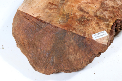Burl Cap Chechen Burl 300x190x75mm - ChechM0331