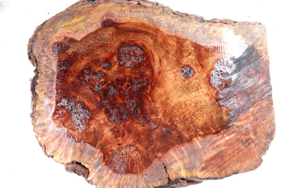 Burl Cap Chechen Burl 400x300x140mm - ChechM0323