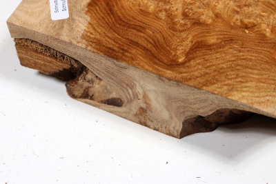 Knollenabschnitt Schnurbaum Maser 180x140x50mm - Schnu0281