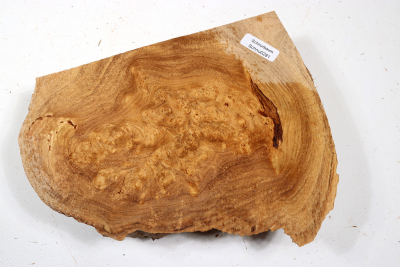Knollenabschnitt Schnurbaum Maser 180x140x50mm - Schnu0281