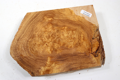Knollenabschnitt Schnurbaum Maser 185x140x50mm - Schnu0282