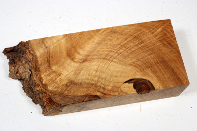 Knollenabschnitt Schnurbaum Maser 220x92x52mm - Schnu0275