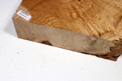 Knollenabschnitt Schnurbaum Maser 220x92x52mm - Schnu0275