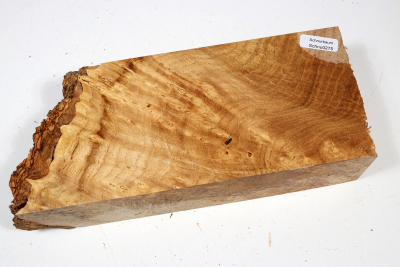 Knollenabschnitt Schnurbaum Maser 220x92x52mm - Schnu0275