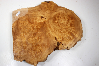 Knollenabschnitt Schnurbaum Maser 310x250x50mm - Schnu0287