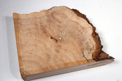 Beech Burl 215x185x60mm - GestBu0619