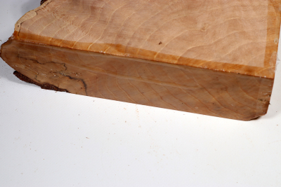 Beech Burl 215x185x60mm - GestBu0619