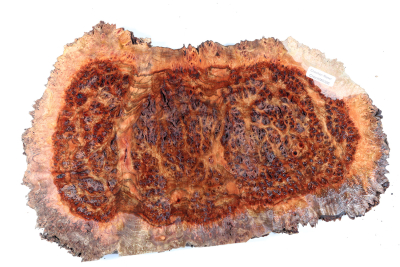 Chechen Burl 300x190x30mm - ChechM0326